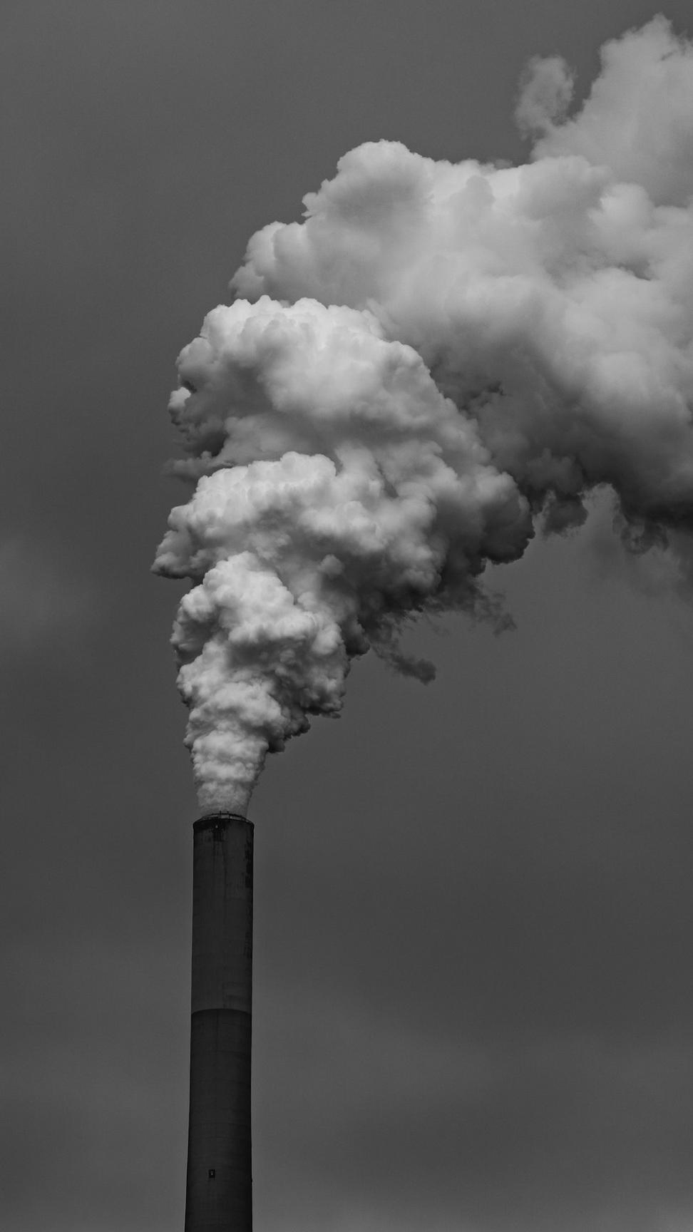 Environmental assessment
